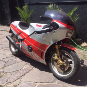 Bimota Leighton 6