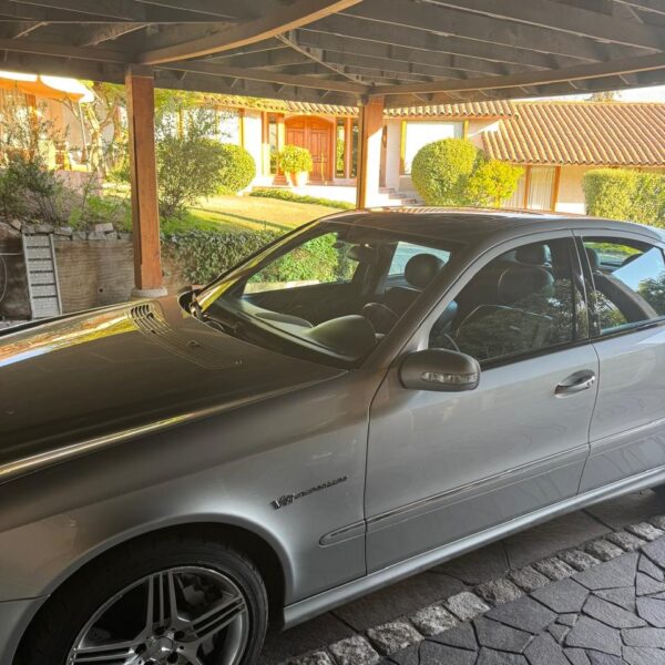 Mercedes Baracatt2